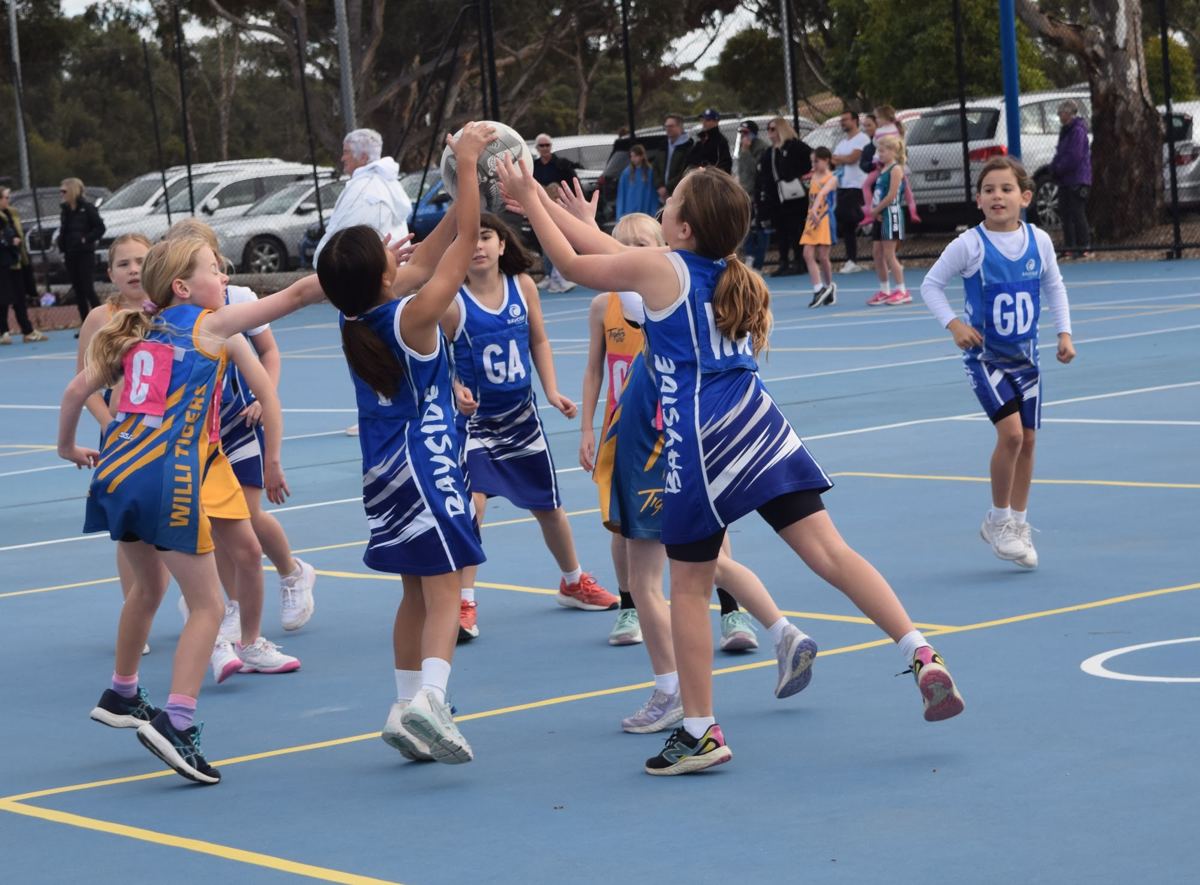 Young Bayside players on game day