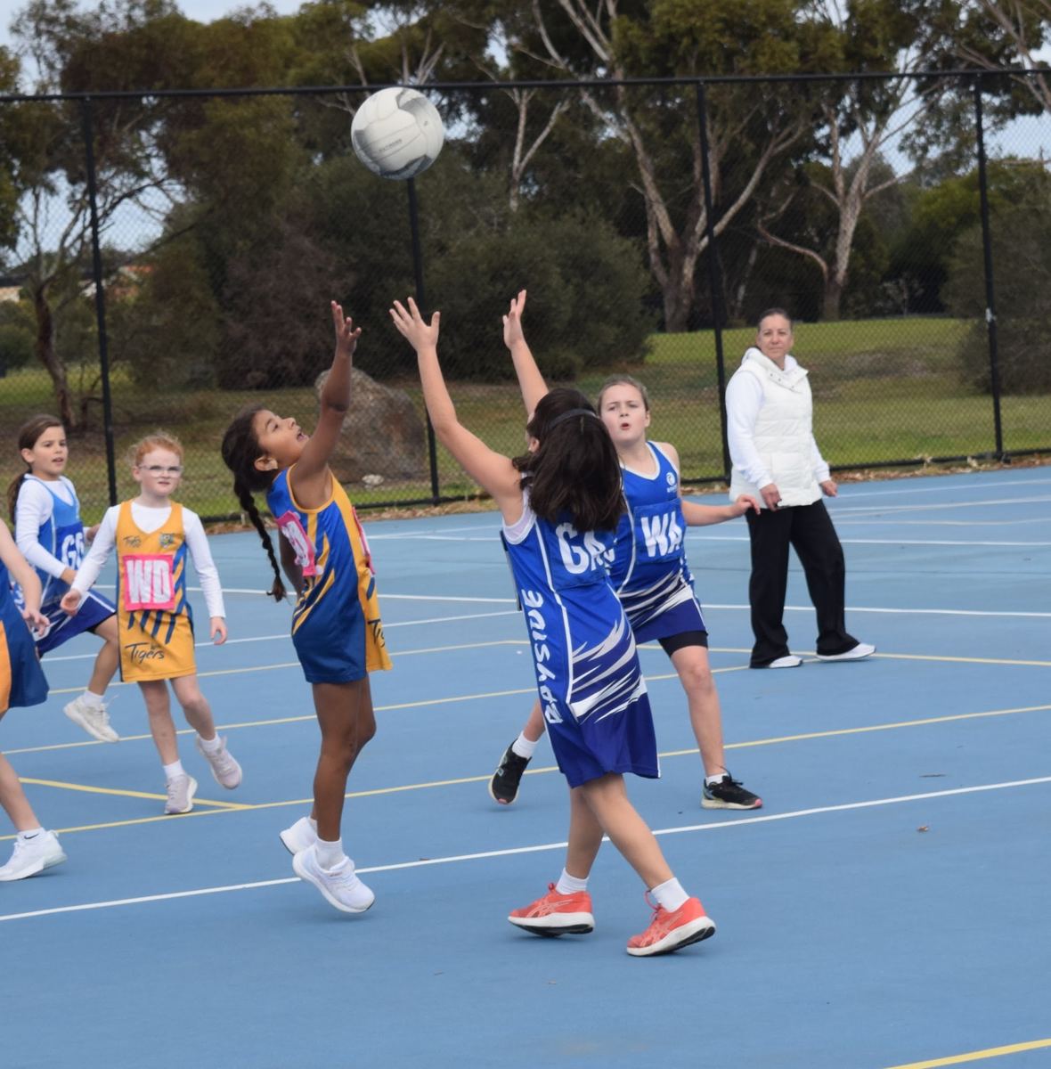 Young Bayside players on game day
