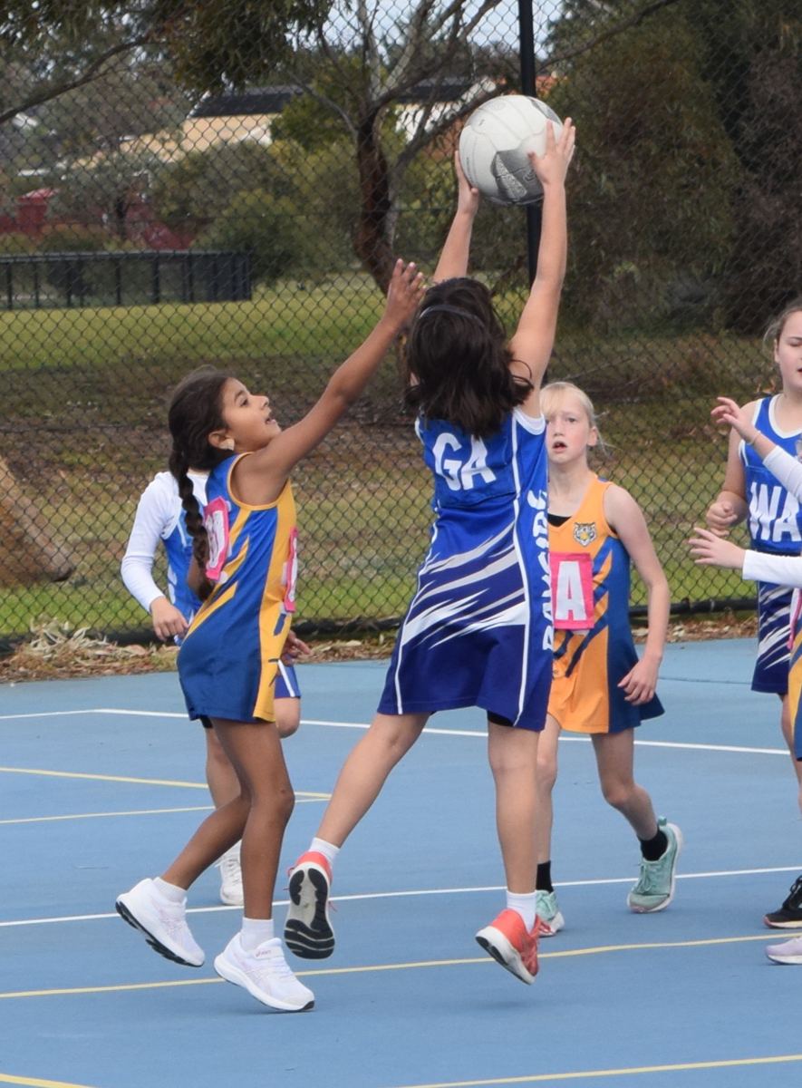 Young Bayside players on game day
